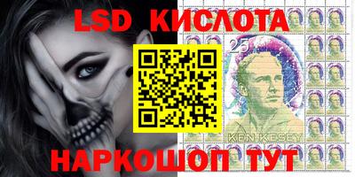 меф Гатчина