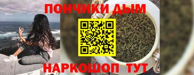 меф Гатчина