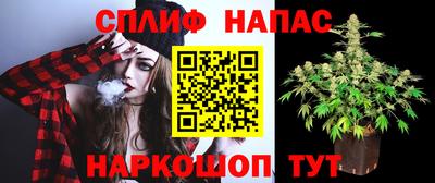 PSILOCYBIN Гагарин