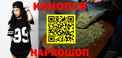 амф Гай