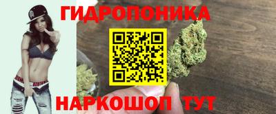 PSILOCYBIN Гагарин