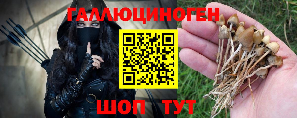 Галлюциногенные грибы ЛСД  где найти   Галлюциногенные грибы мухоморы  Сокол  Вход с VPN 