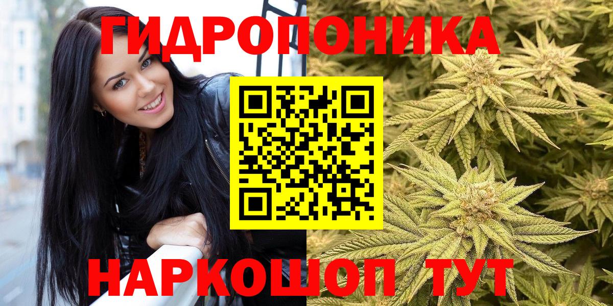 Бошки Шишки SATIVA & INDICA Сокол